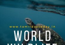 WORLD WILDLIFE DAY IN TAMIL