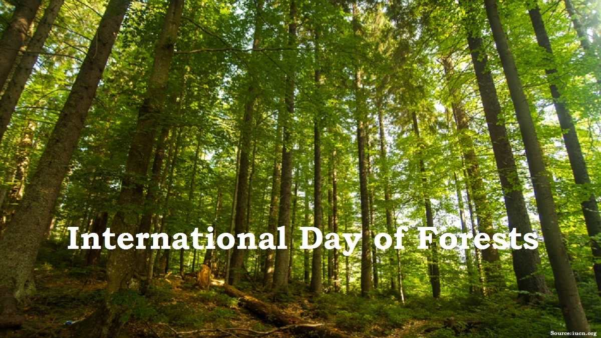INTERNATIONAL DAY OF FORESTS IN TAMIL