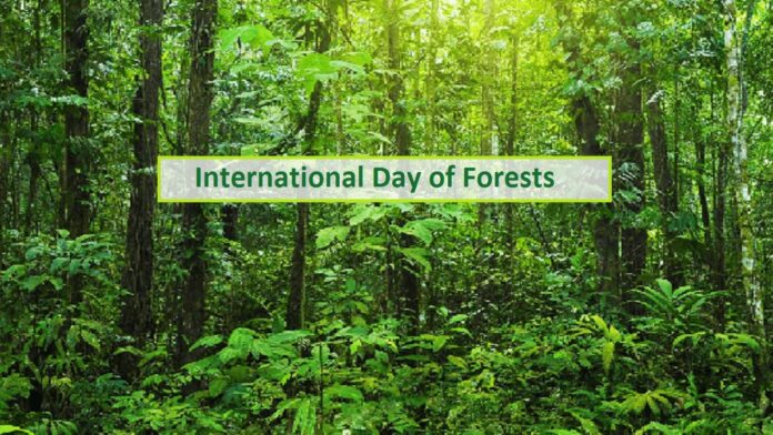 INTERNATIONAL DAY OF FORESTS IN TAMIL